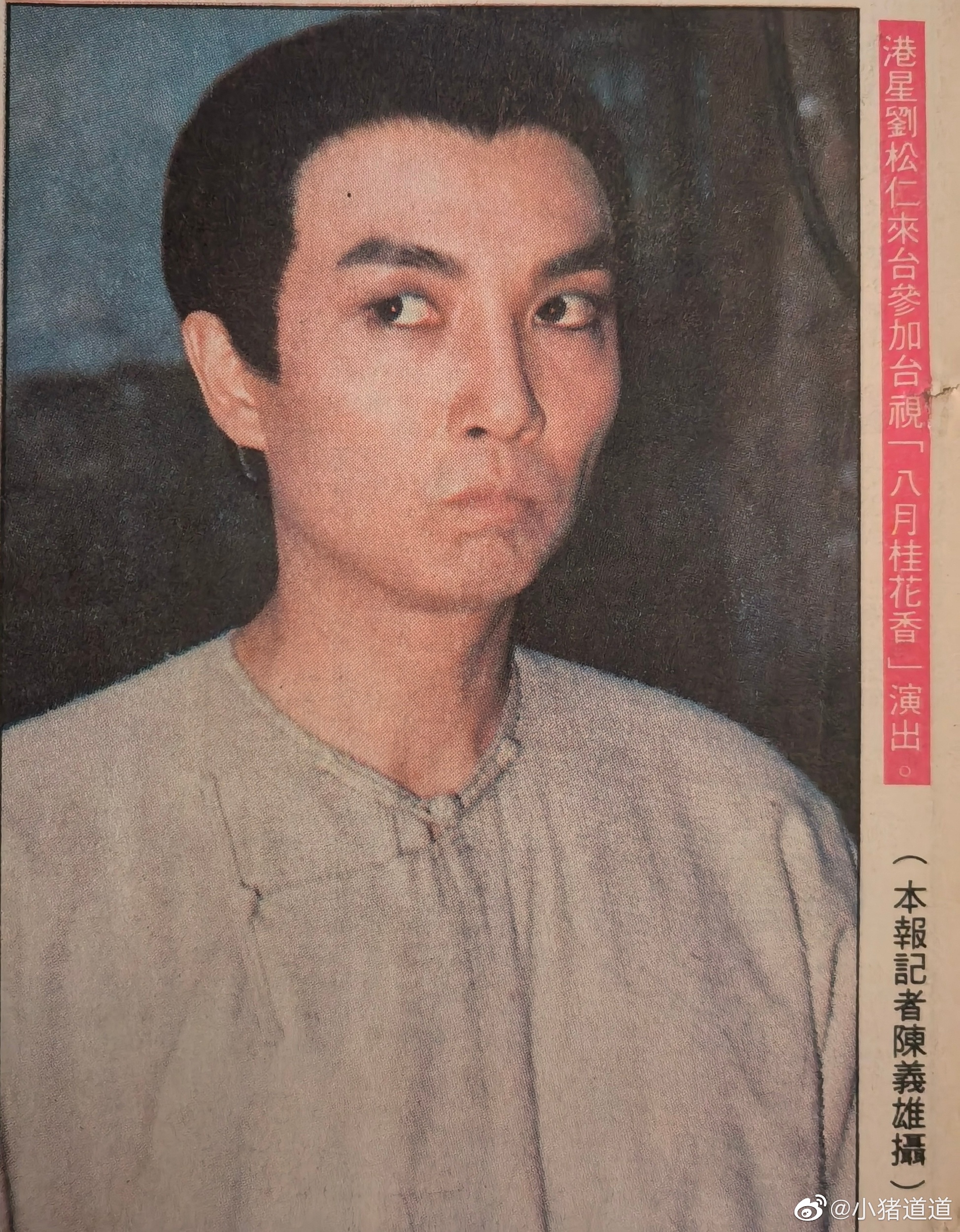 八月桂花香 The August Blossom – News-01
